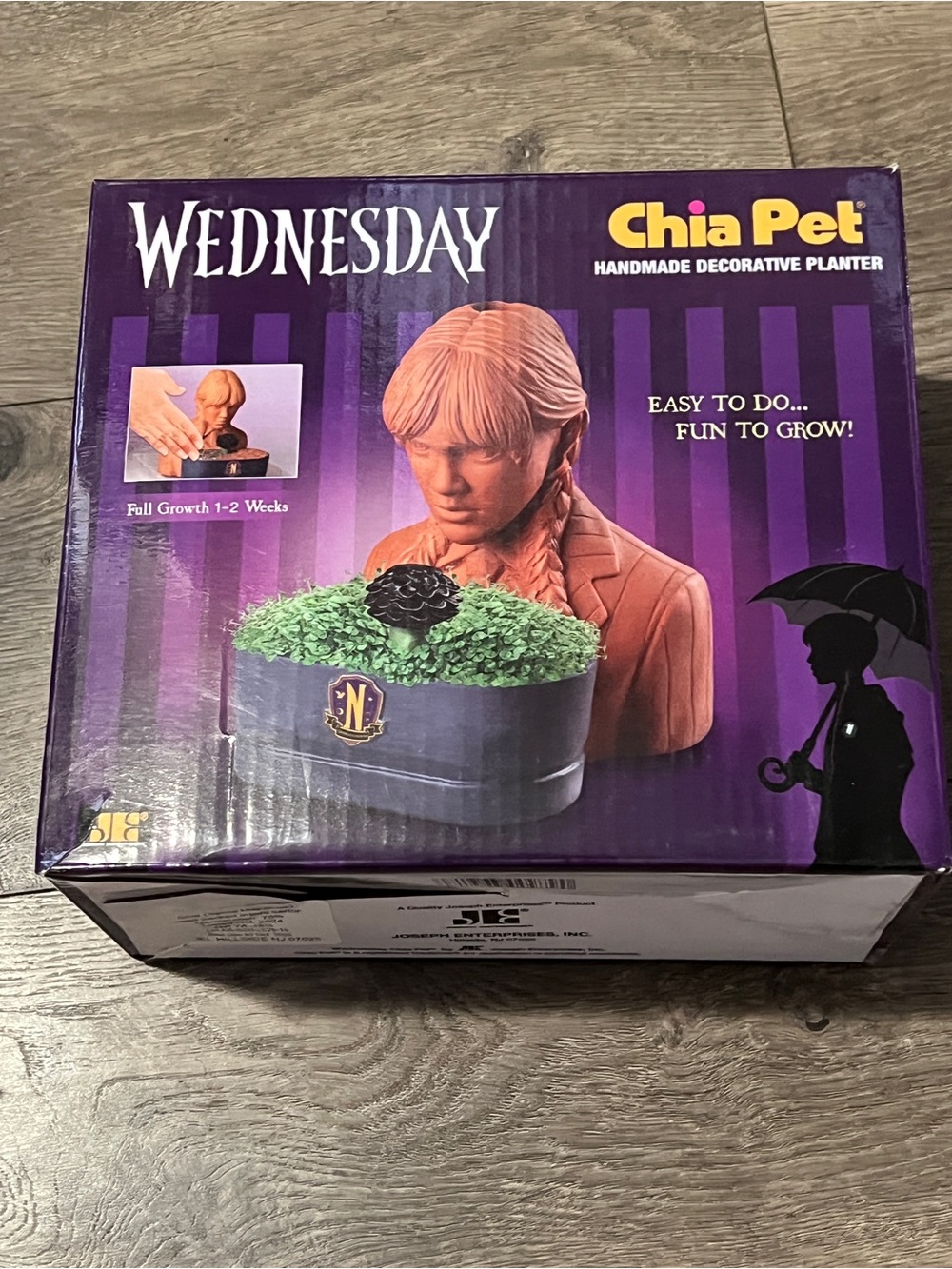Chia Pet Wednesday Decorative Planter New